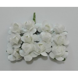 Flor - Rosas Blancas